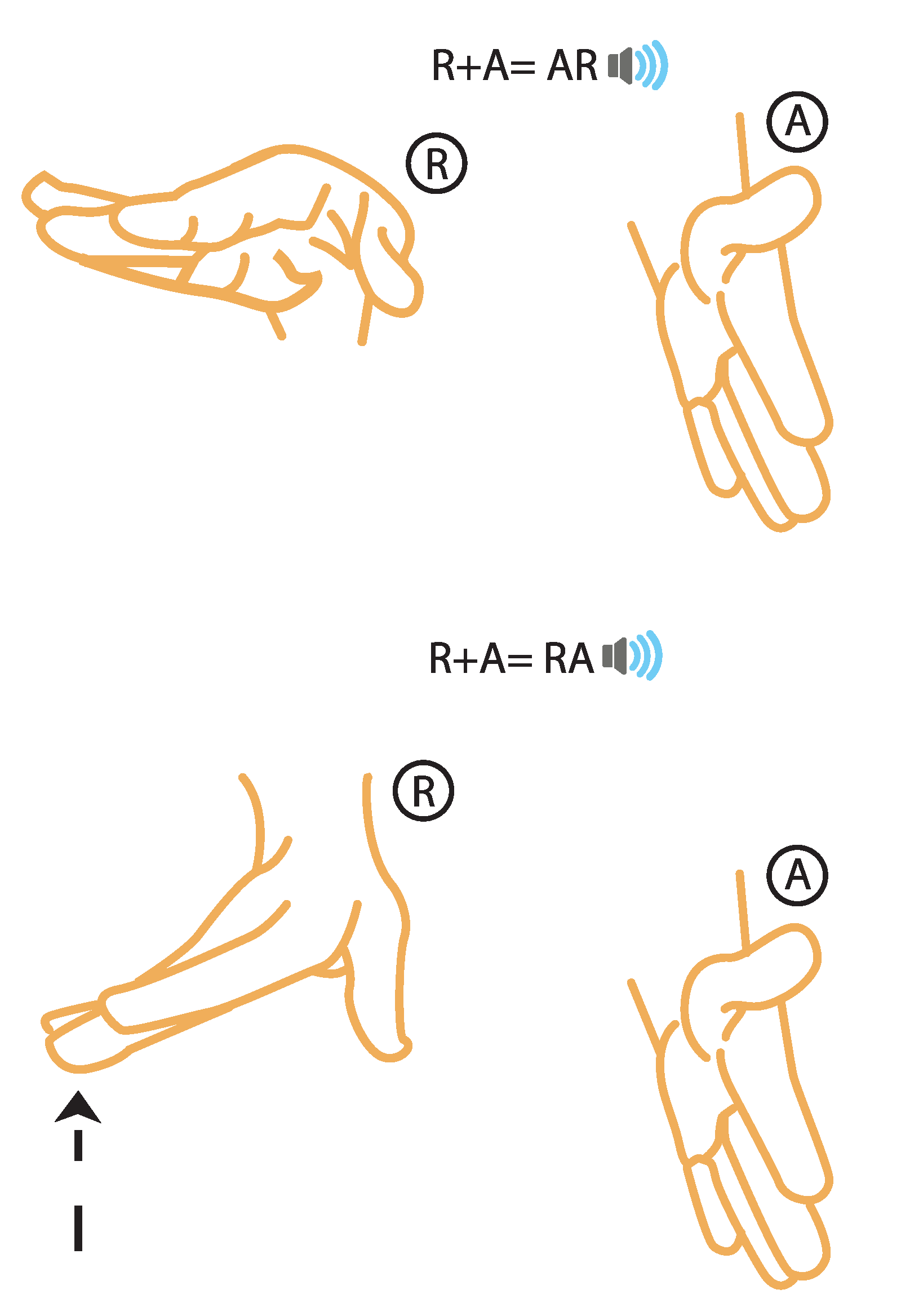 Sensors 21 05291 g005