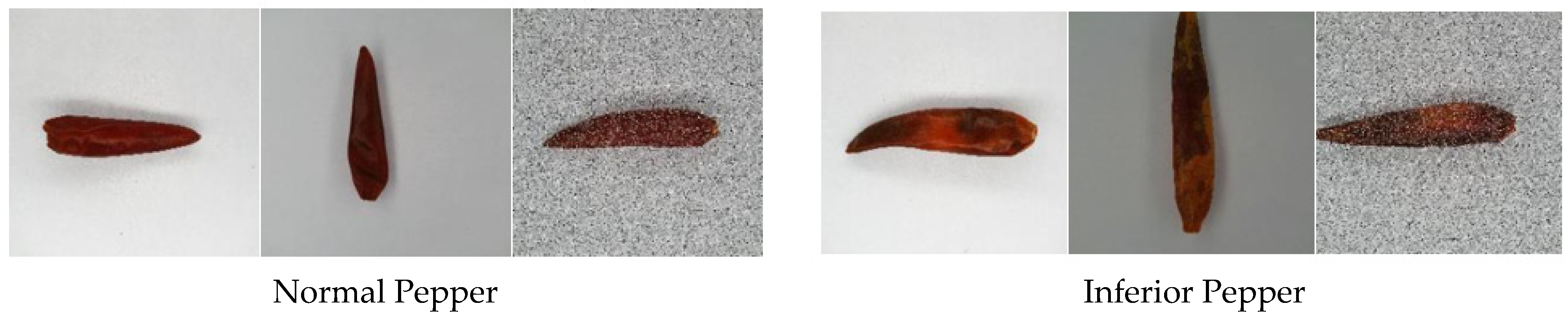 Sensors 21 05305 g001