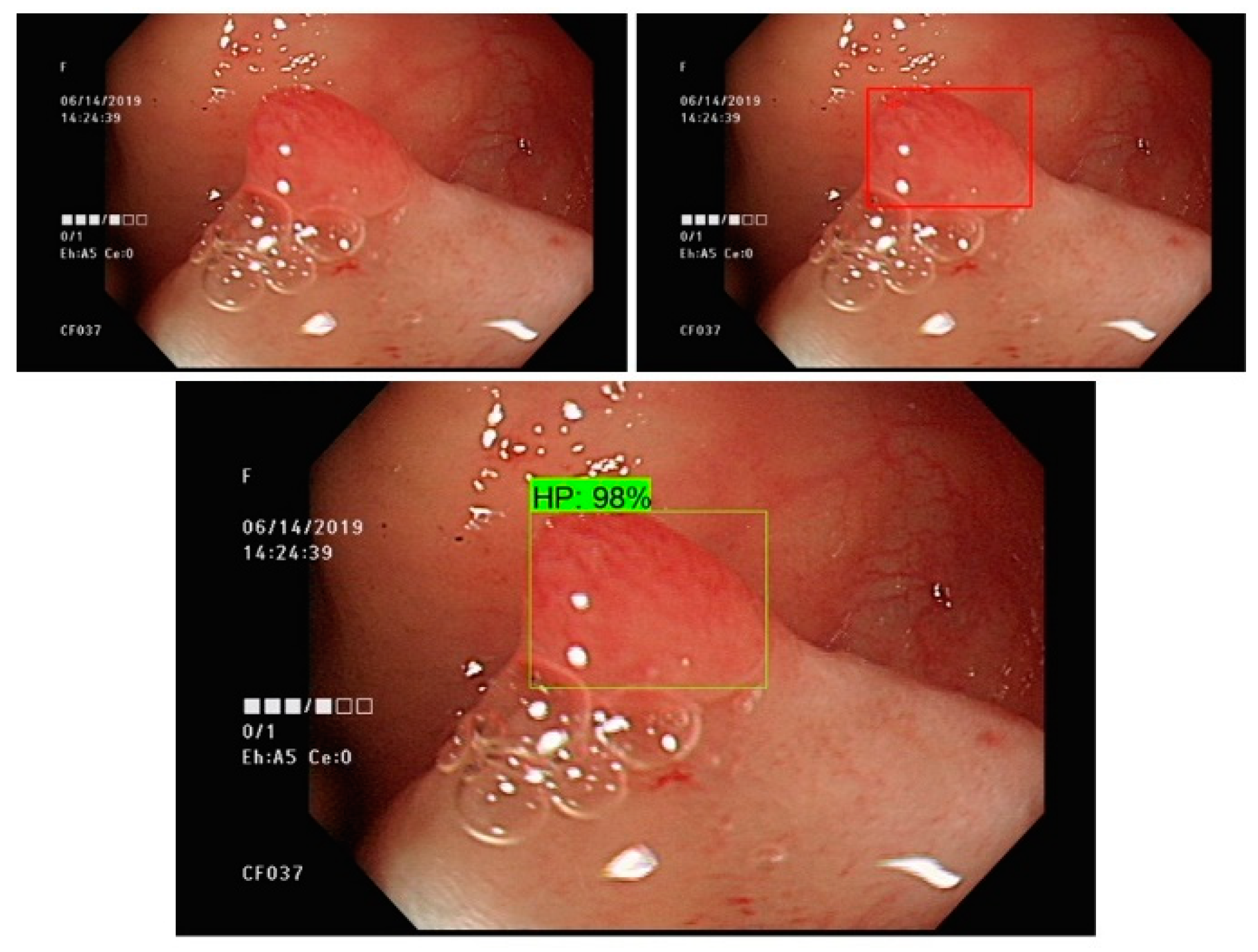 Sensors 21 05315 g001