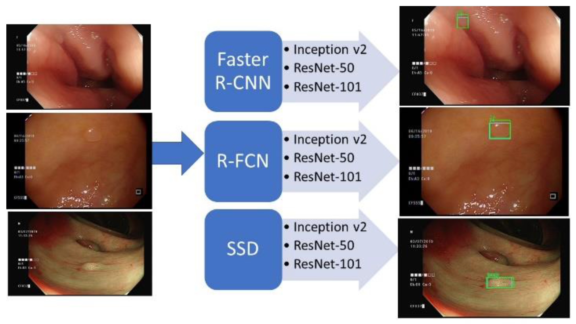 Sensors 21 05315 g005