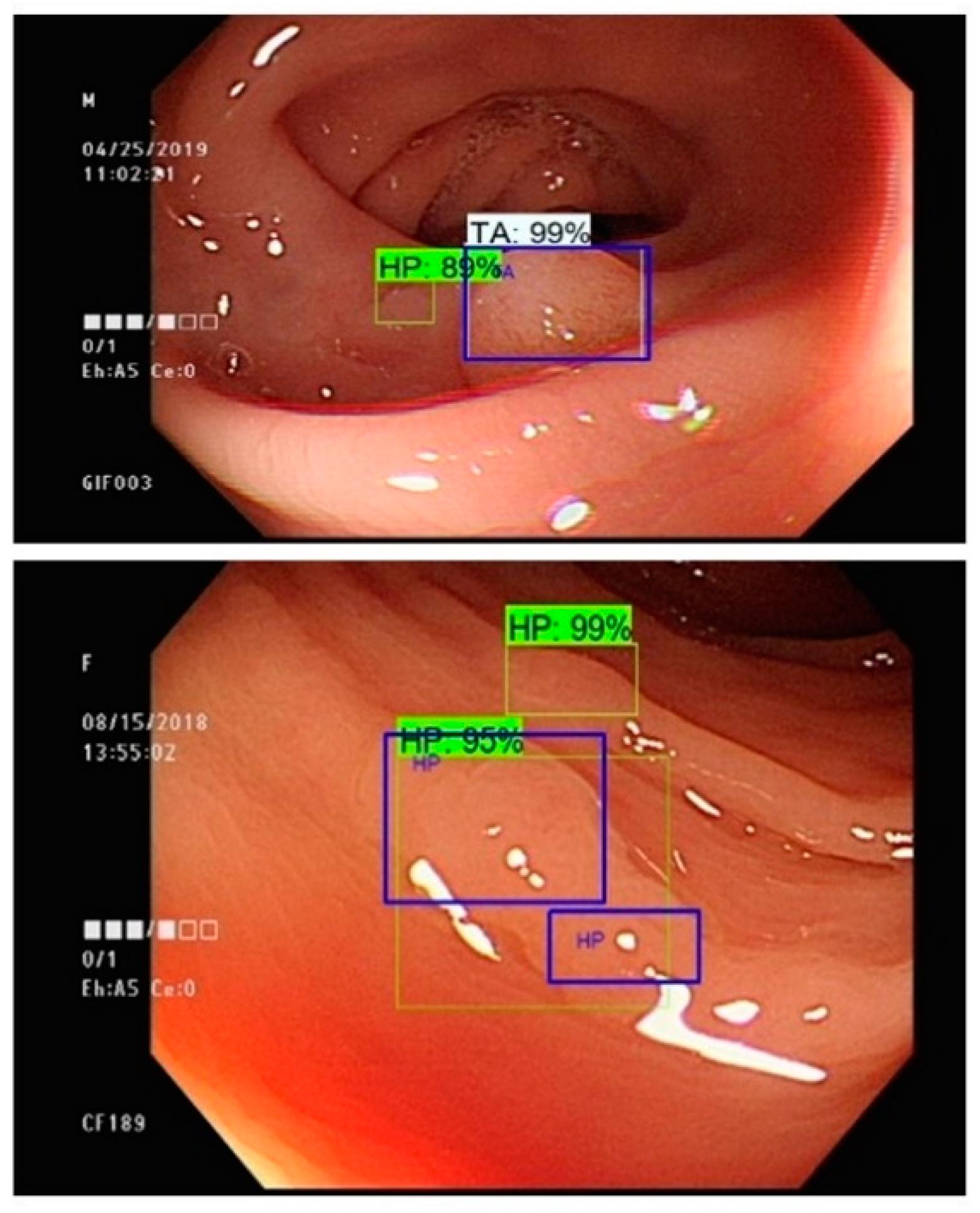 Sensors 21 05315 g008