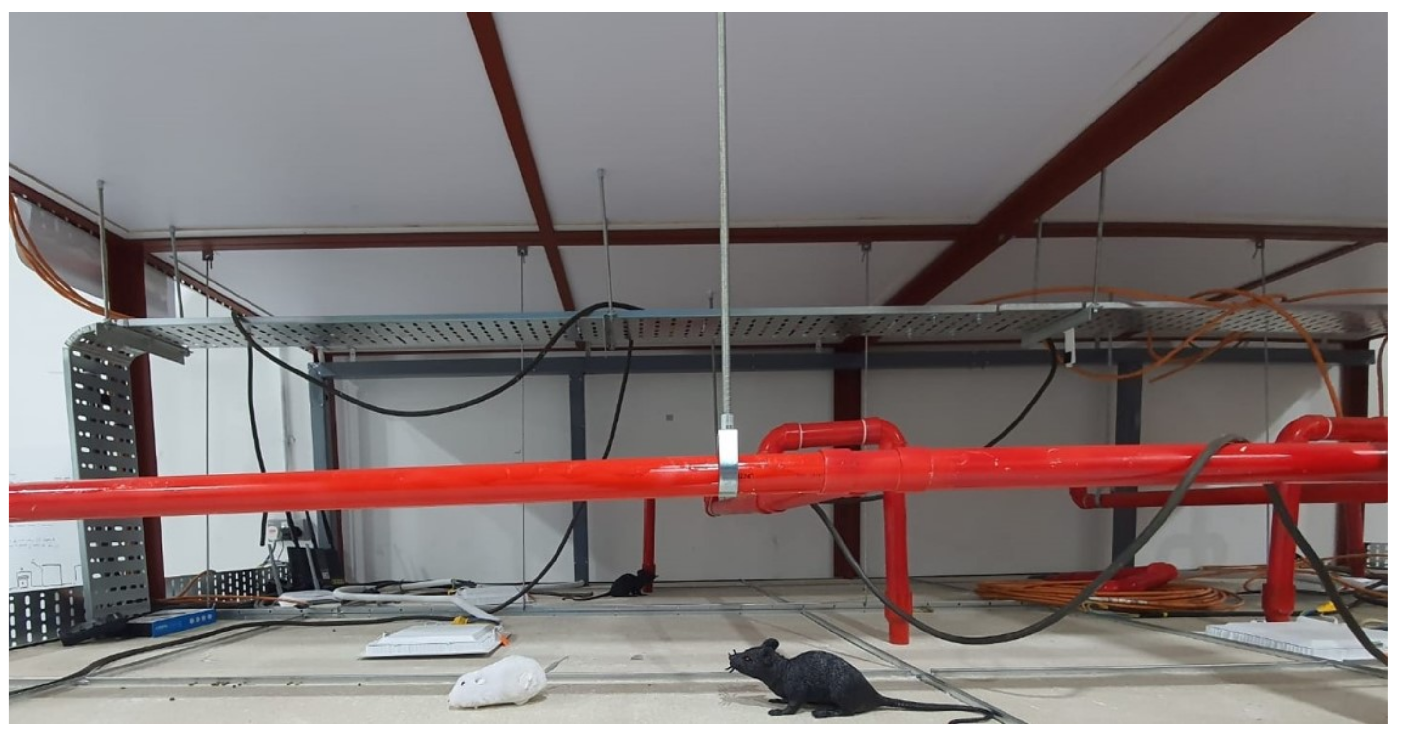 Sensors 21 05326 g007