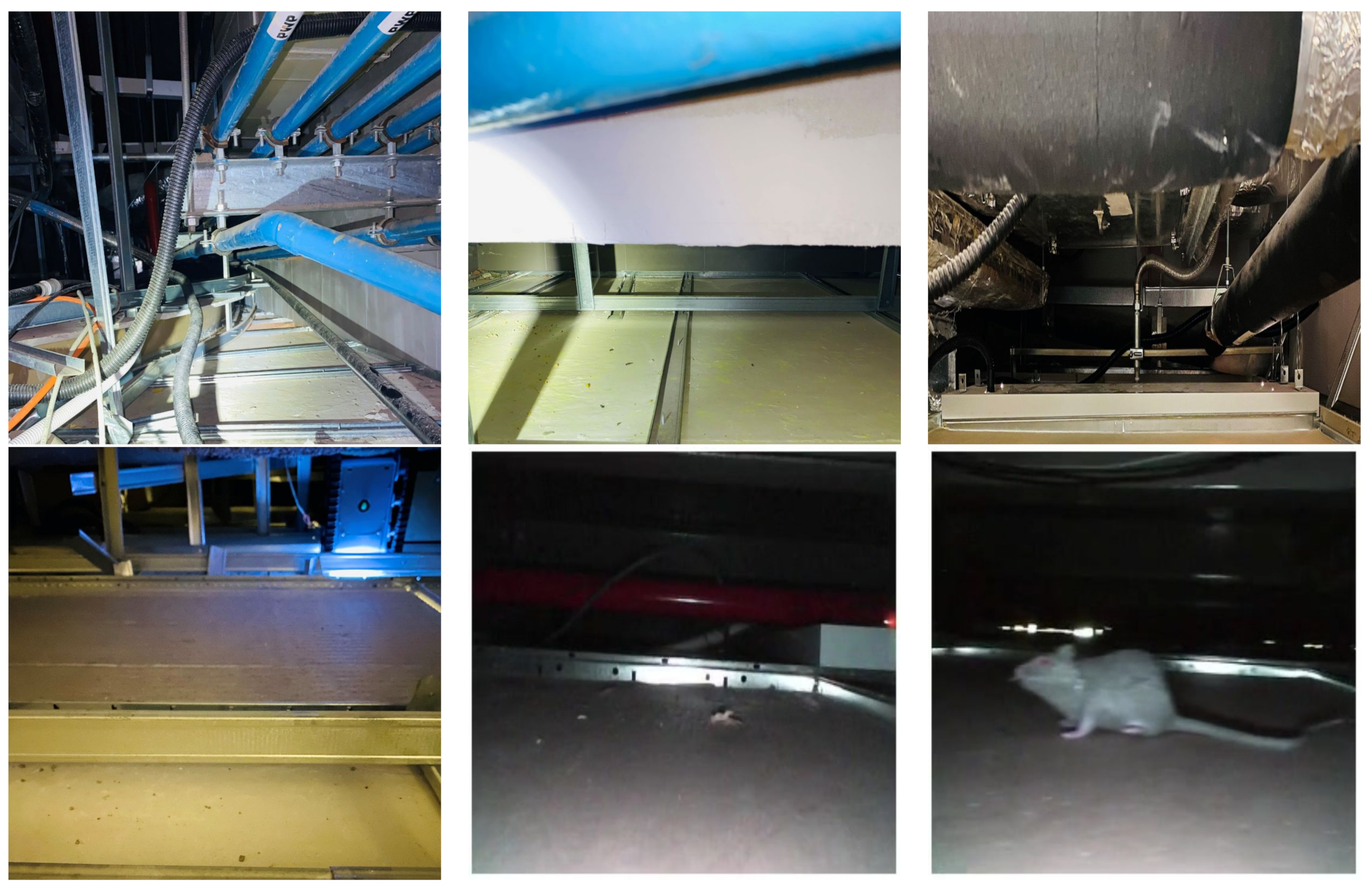 Sensors 21 05326 g009