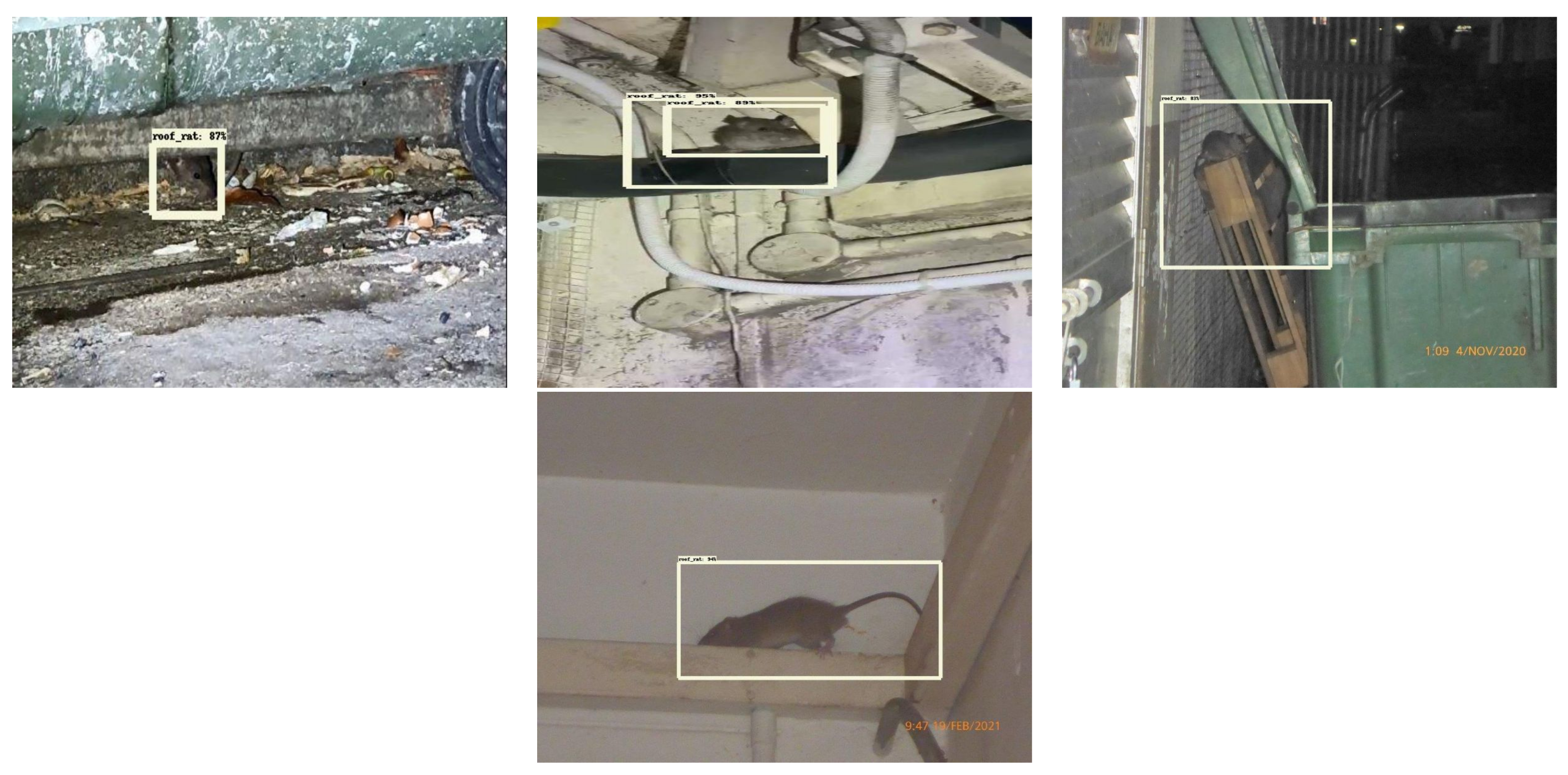 Sensors 21 05326 g013