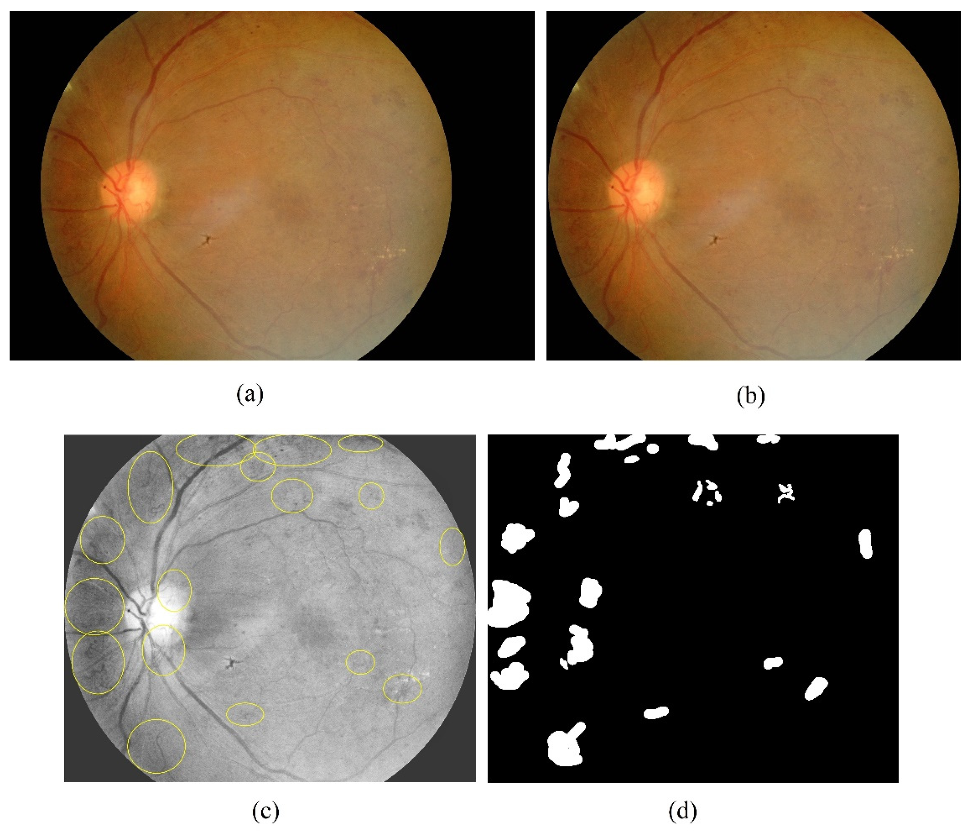Sensors 21 05327 g002