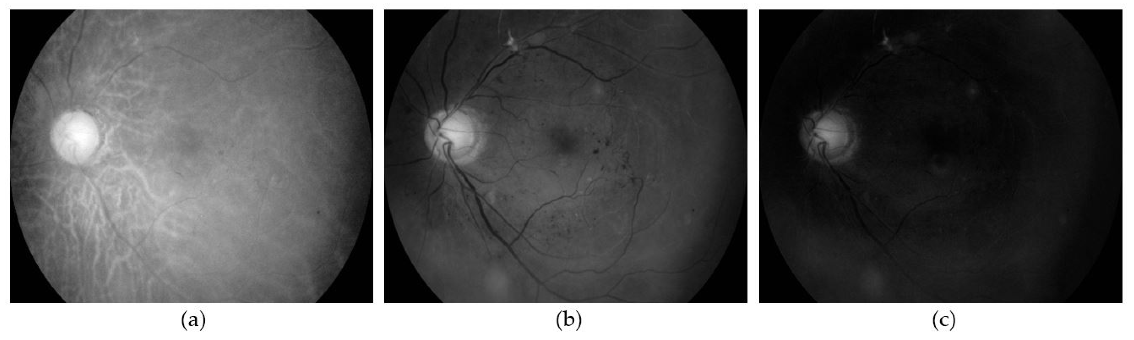 Sensors 21 05327 g003