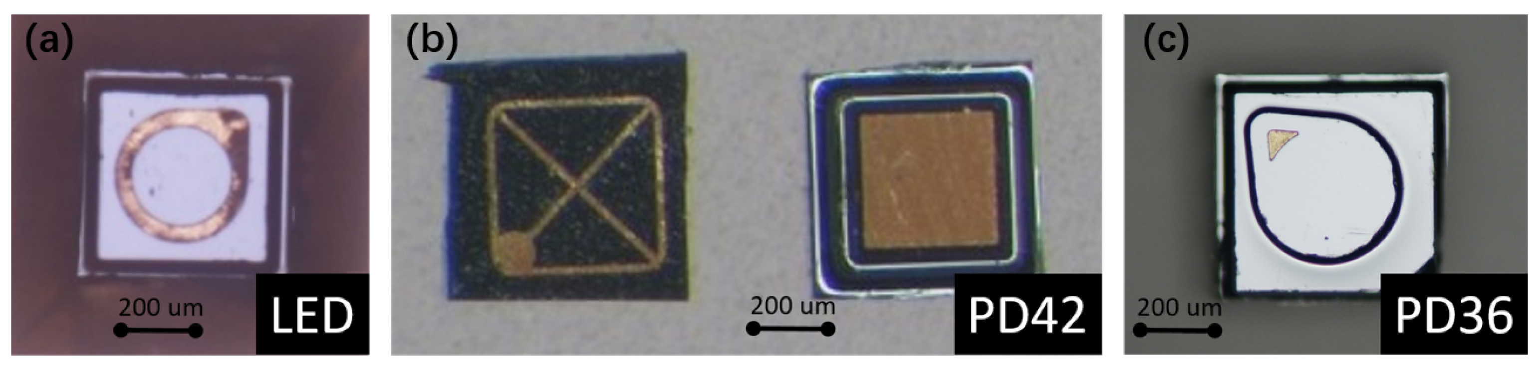 Sensors 21 05347 g003