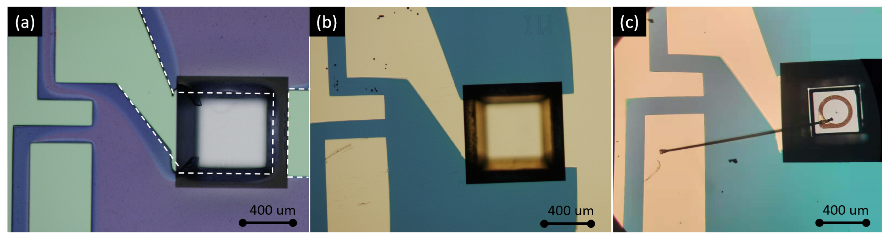 Sensors 21 05347 g006