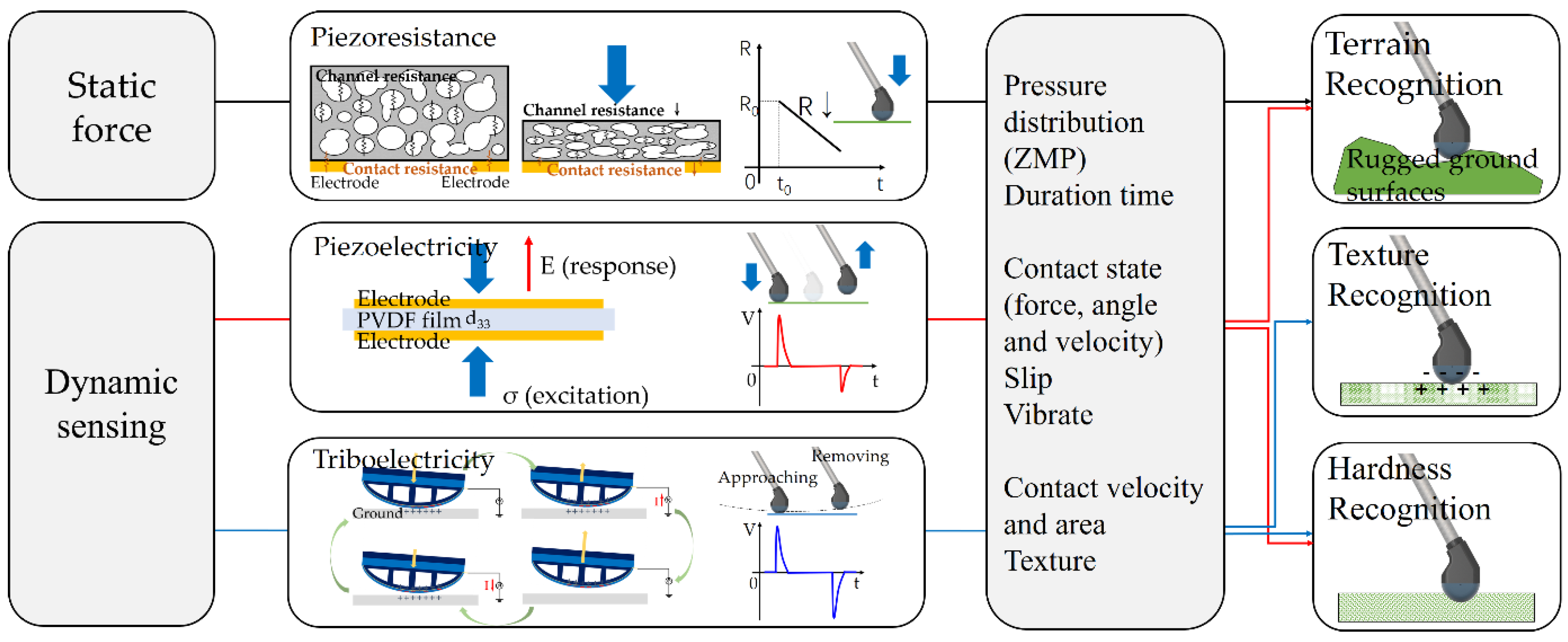Sensors 21 05359 g004