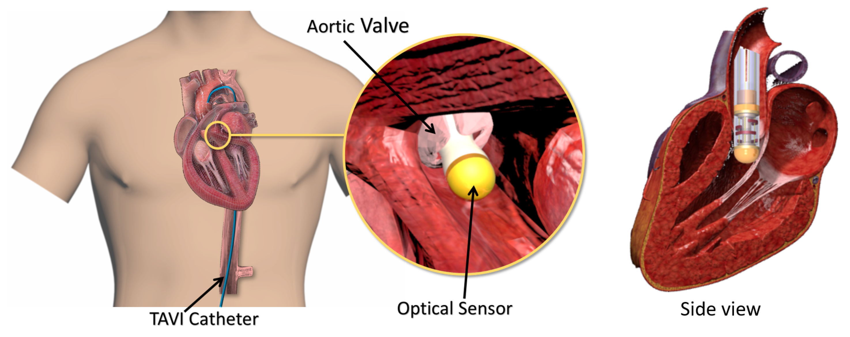 Sensors 21 05377 g001
