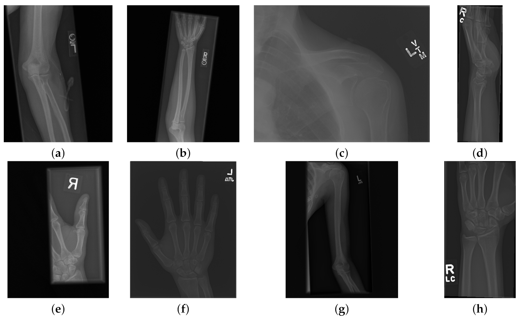 Sensors 21 05381 g001 Sensors 21 05381 g001