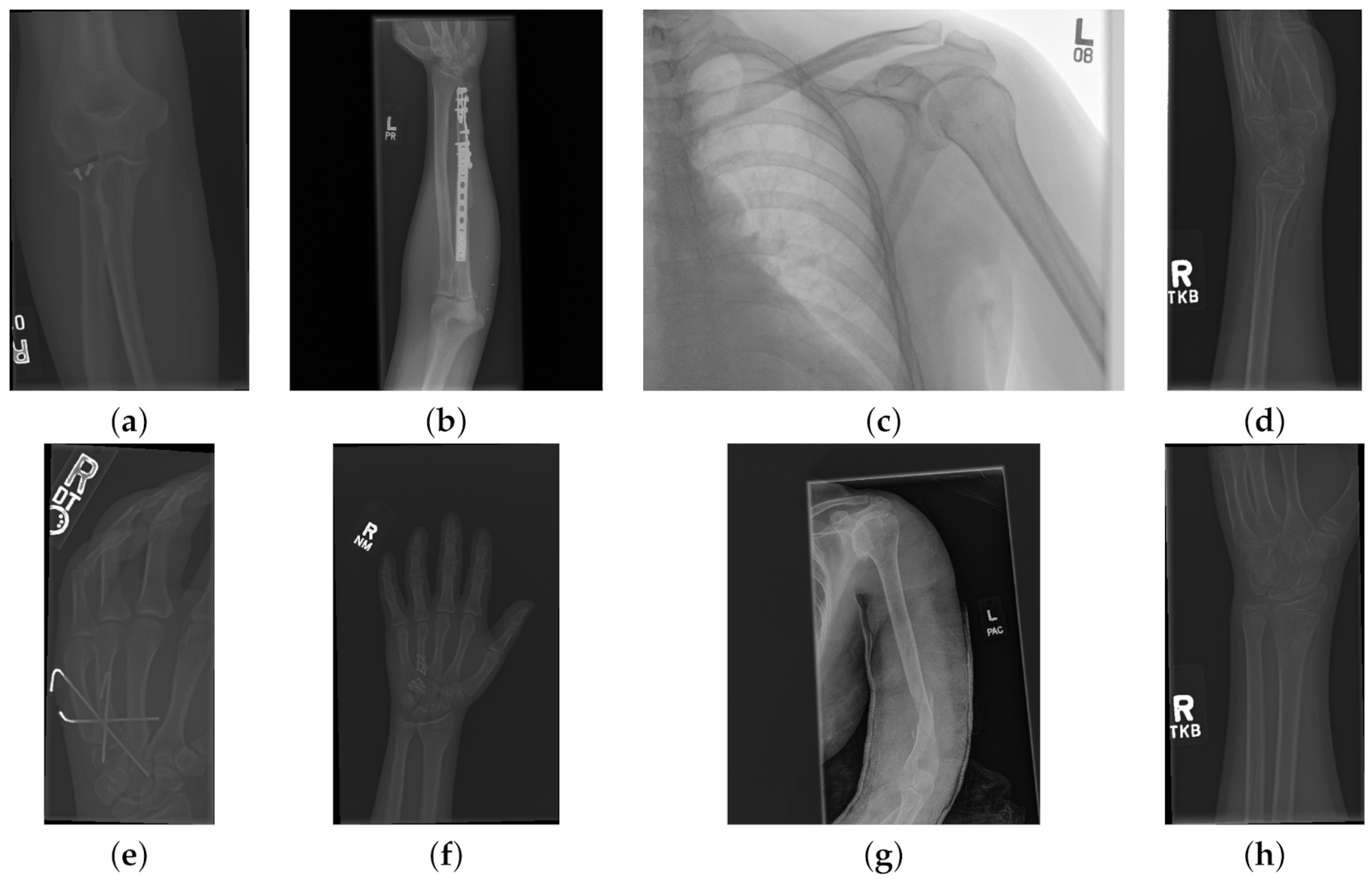 Sensors 21 05381 g002 Sensors 21 05381 g002