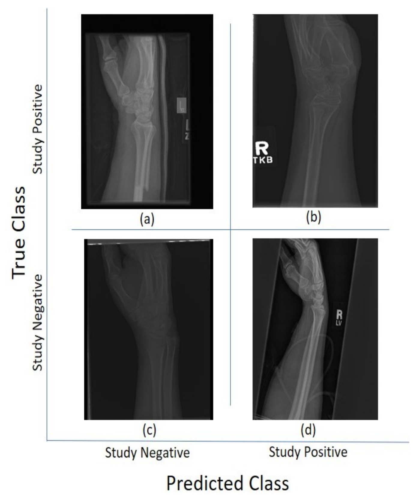 Sensors 21 05381 g005 Sensors 21 05381 g005