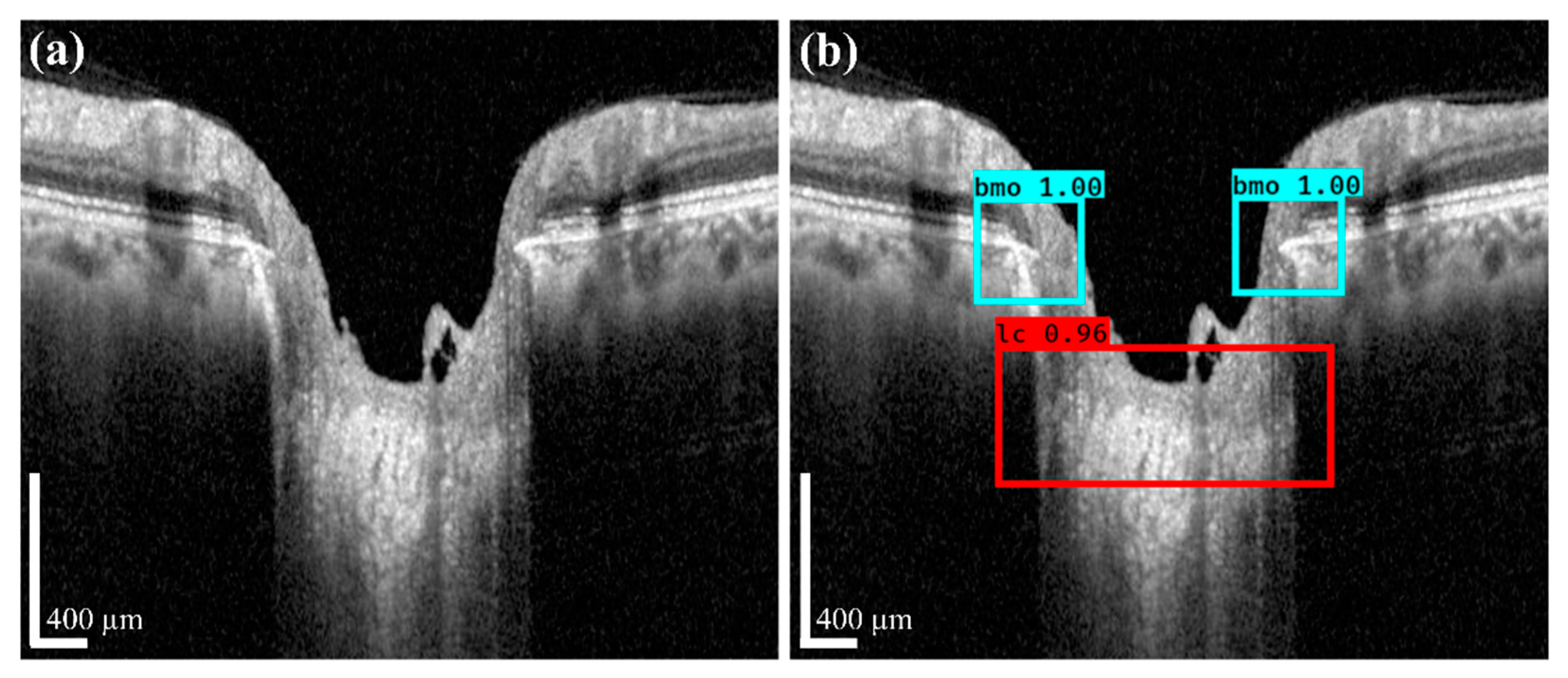 Sensors 21 05383 g008