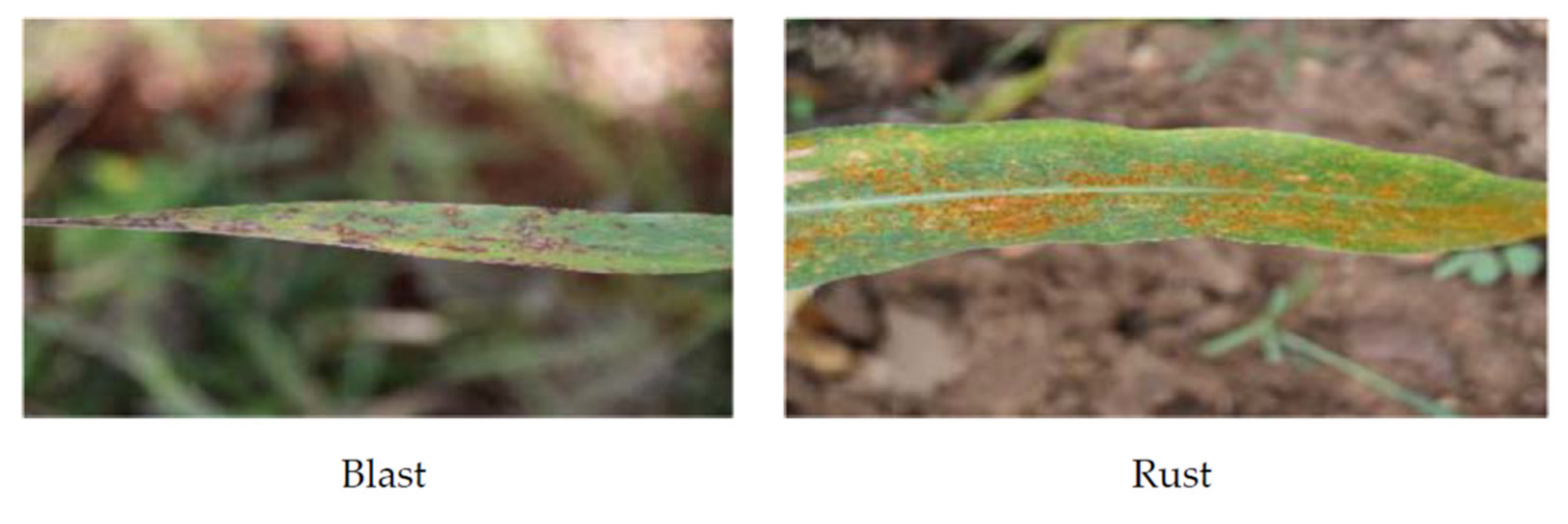 Sensors 21 05386 g003