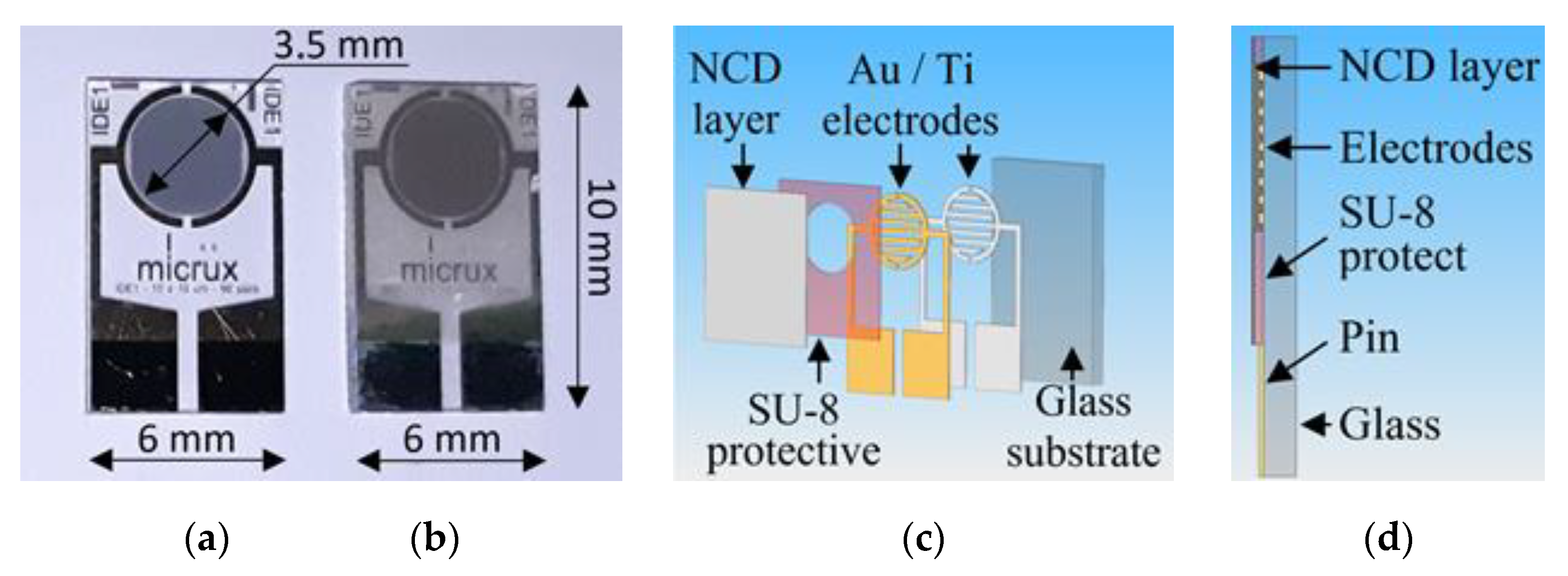 Sensors 21 05390 g005