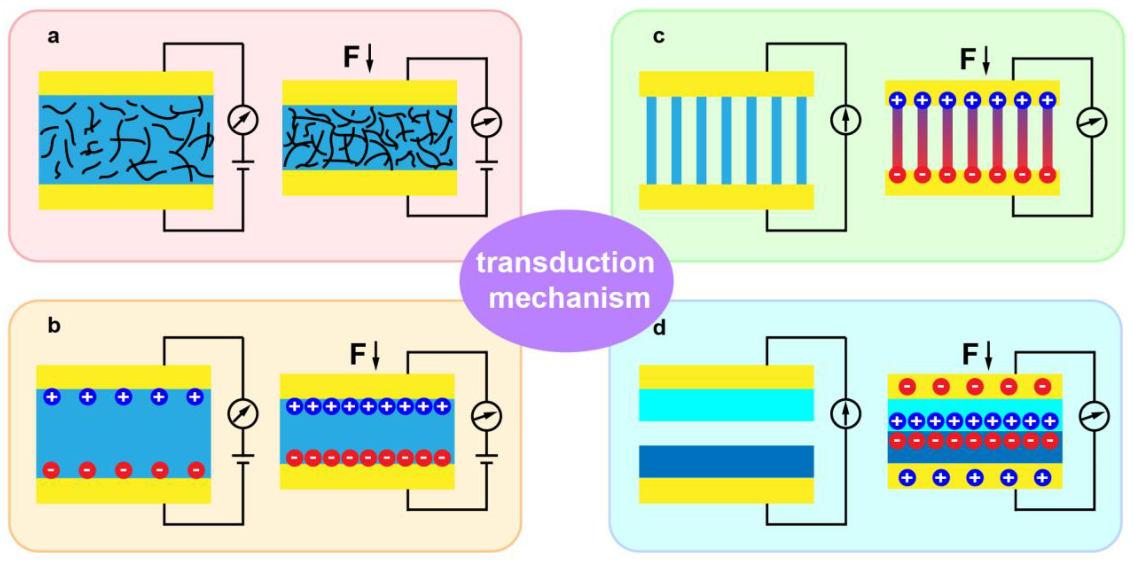 Sensors 21 05392 g001