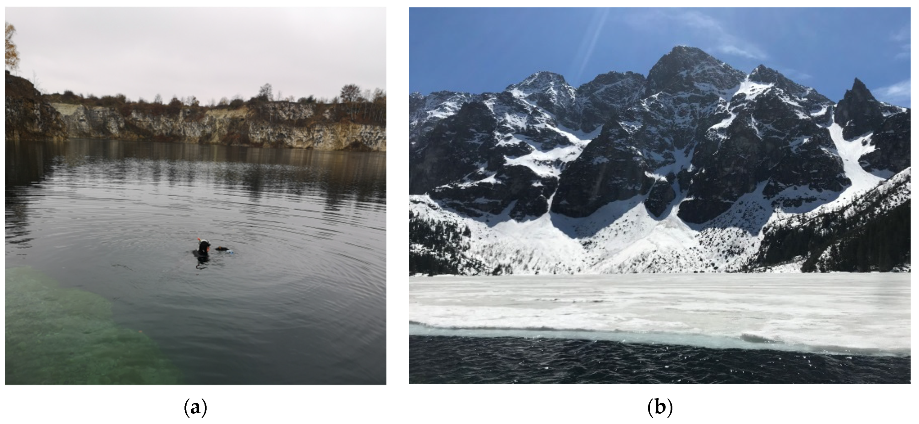 Sensors 21 05399 g002