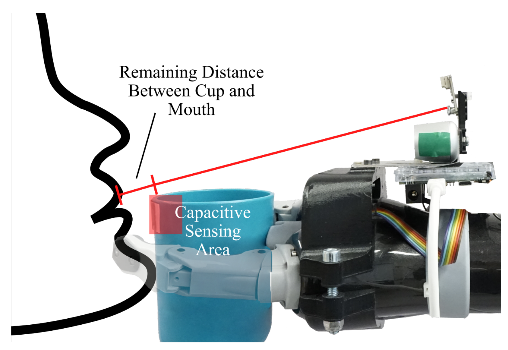 Sensors 21 05419 g011