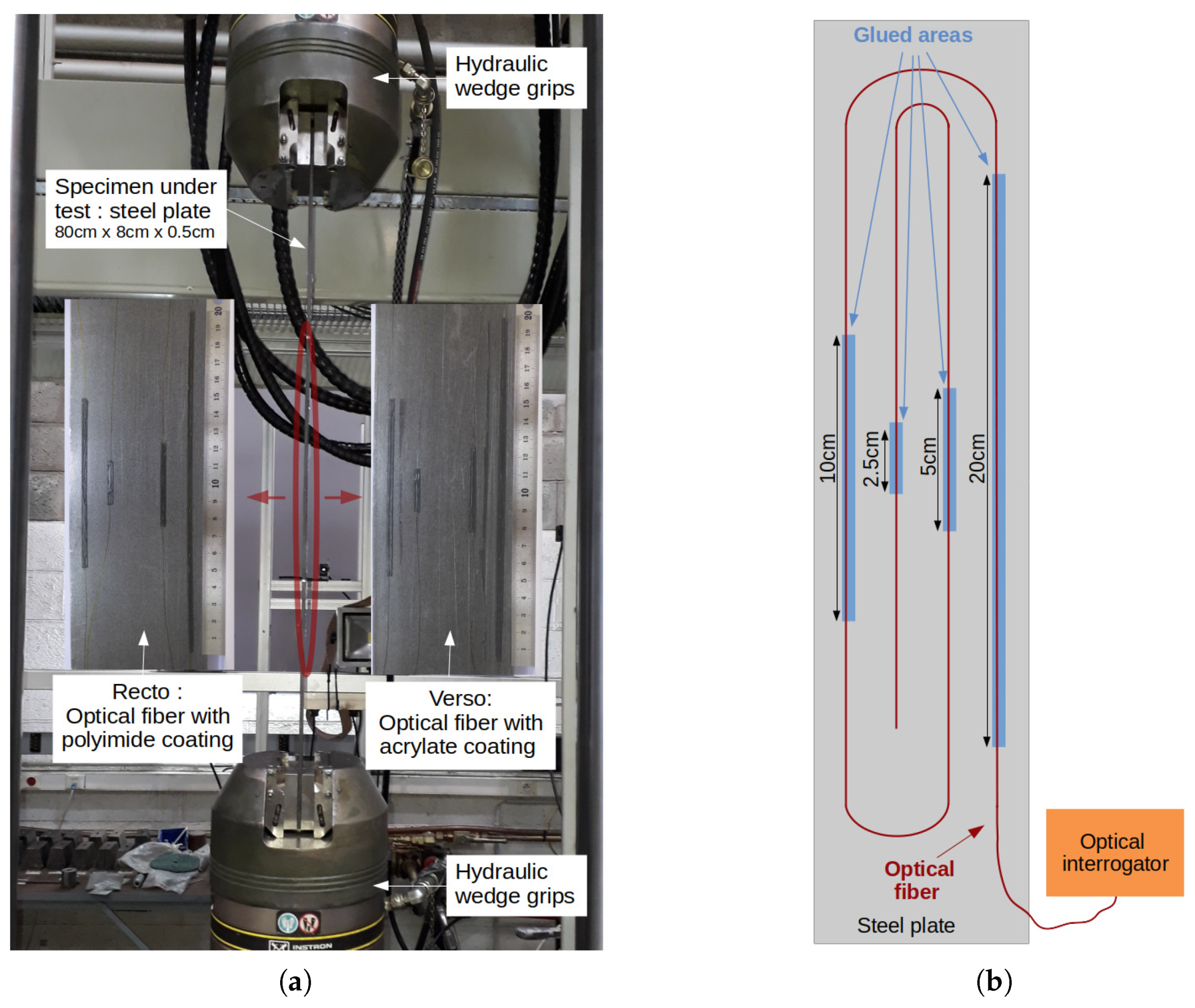 Sensors 21 05423 g007