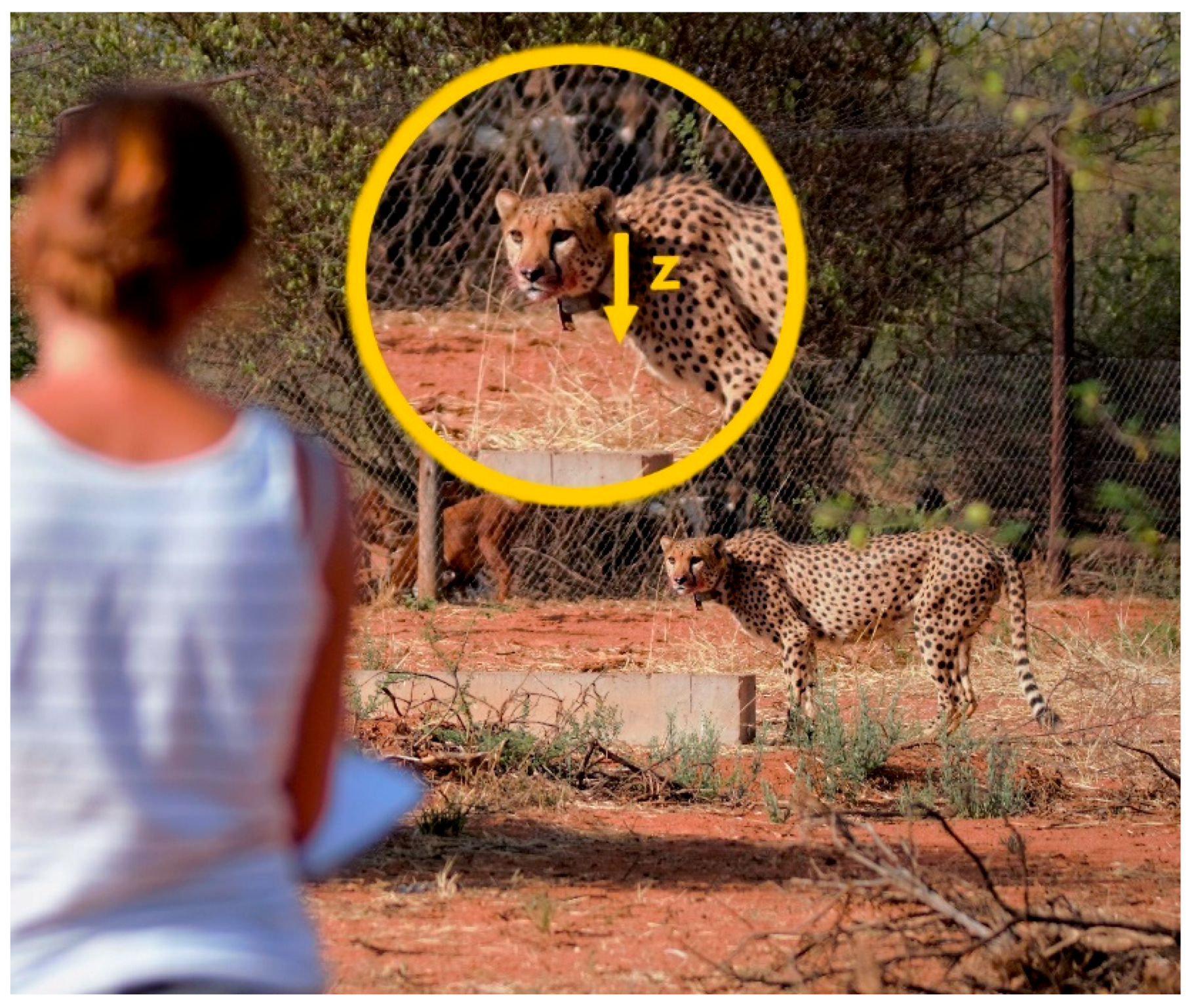 Sensors 21 05426 g001