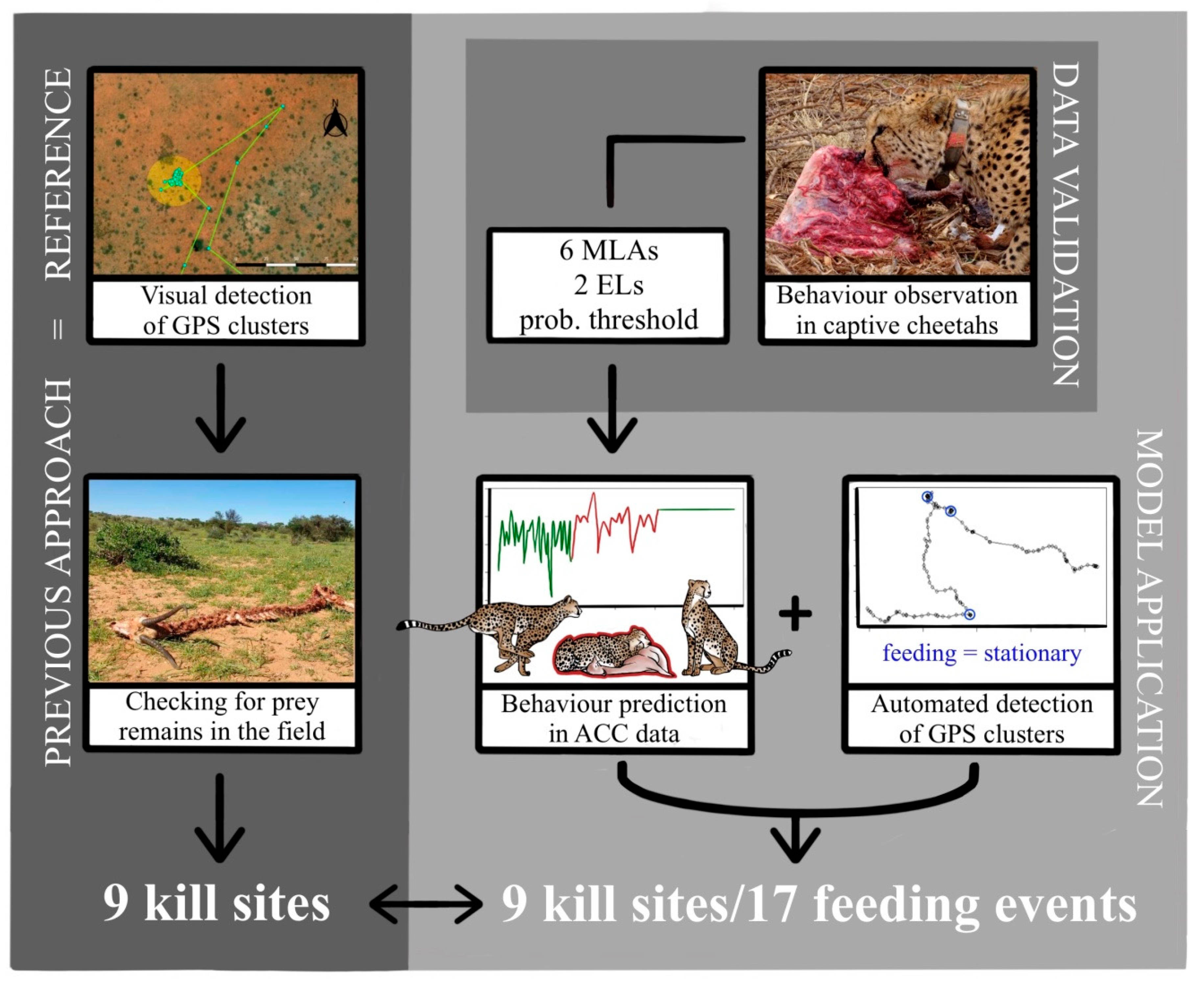 Sensors 21 05426 g003