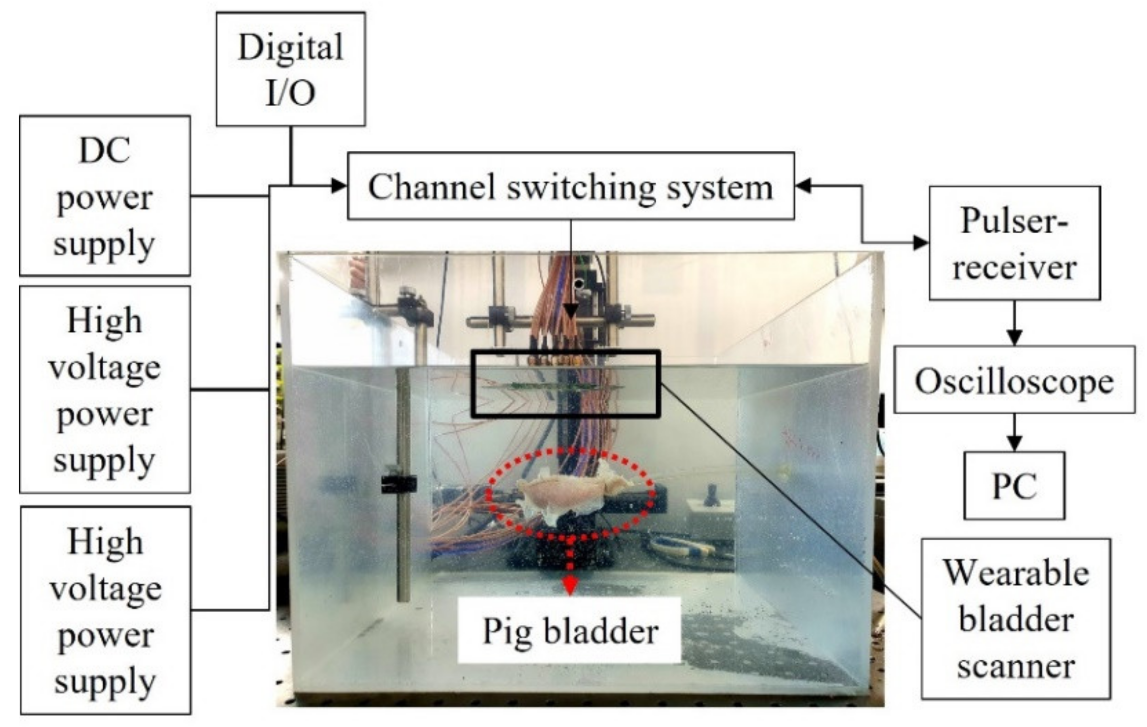 Sensors 21 05445 g005