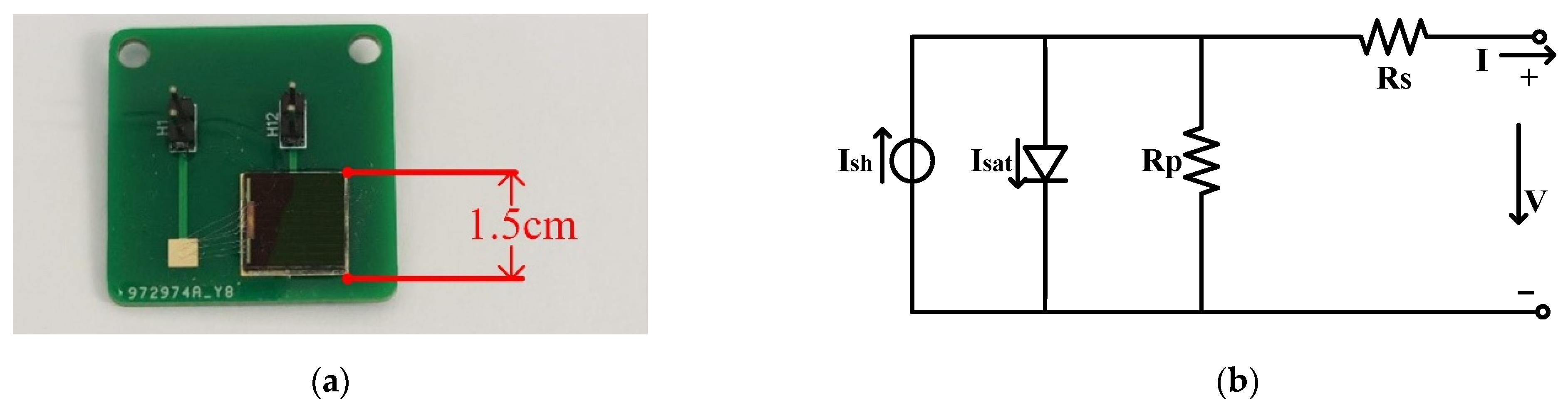 Sensors 21 05447 g001