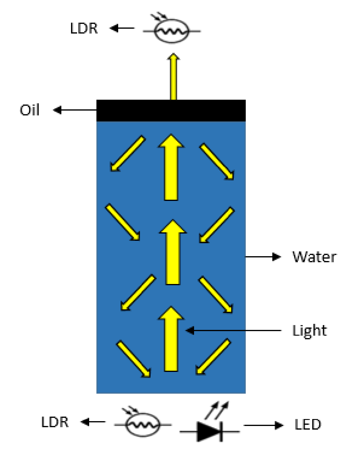 Sensors 21 05449 g001