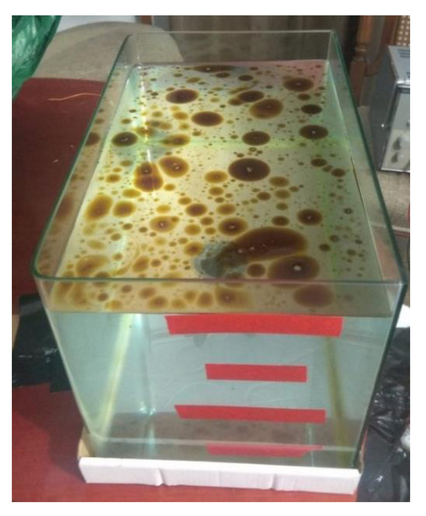 Sensors 21 05449 g004