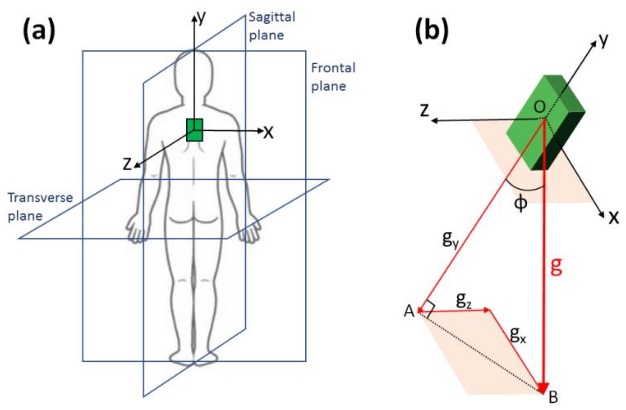 Sensors 21 05453 g002