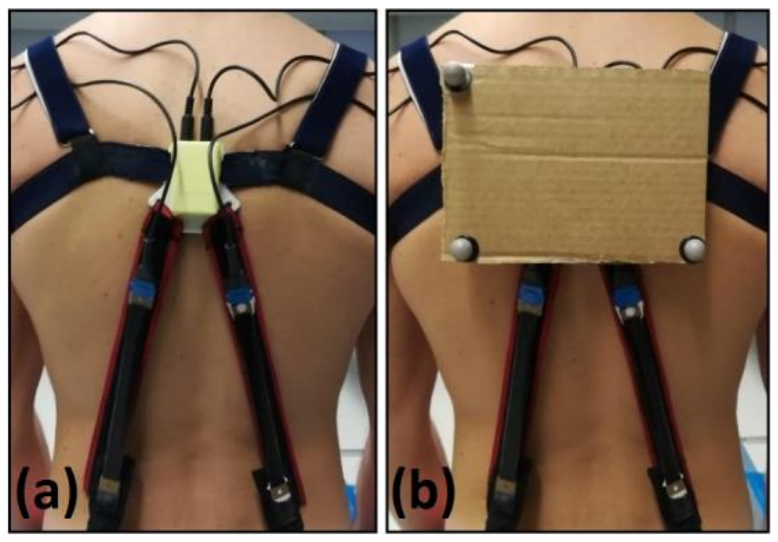 Sensors 21 05453 g003