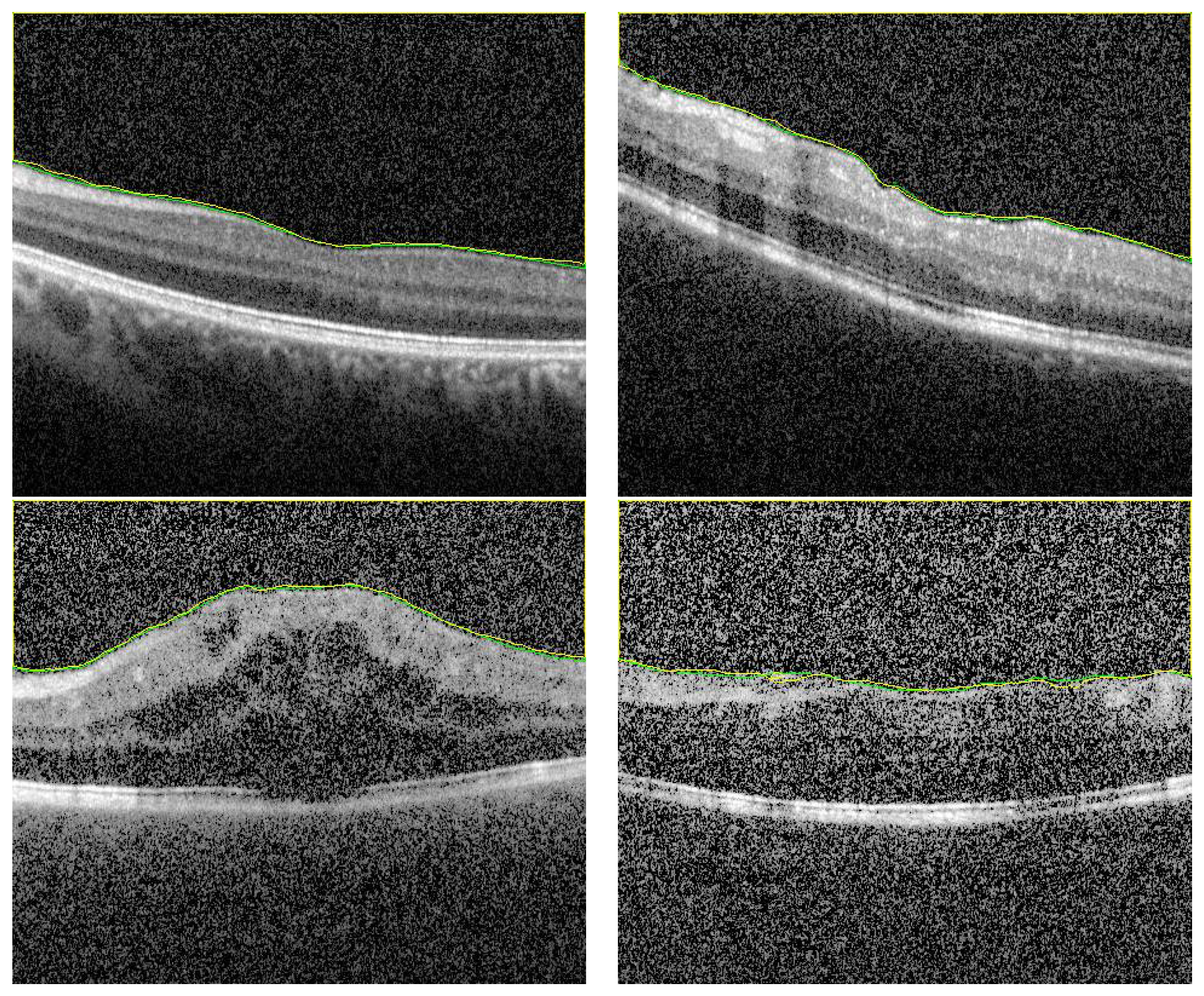 Sensors 21 05457 g005