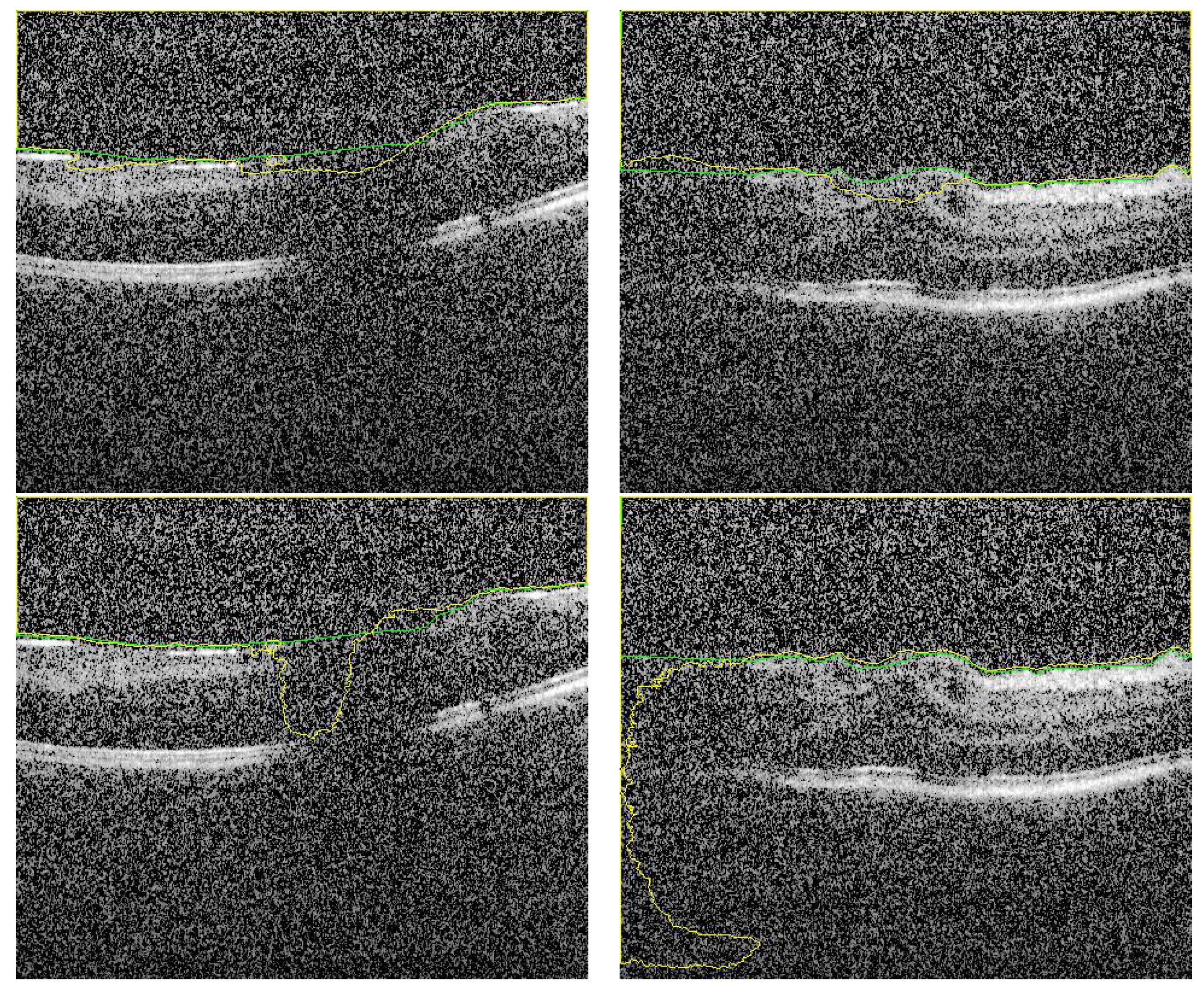 Sensors 21 05457 g006