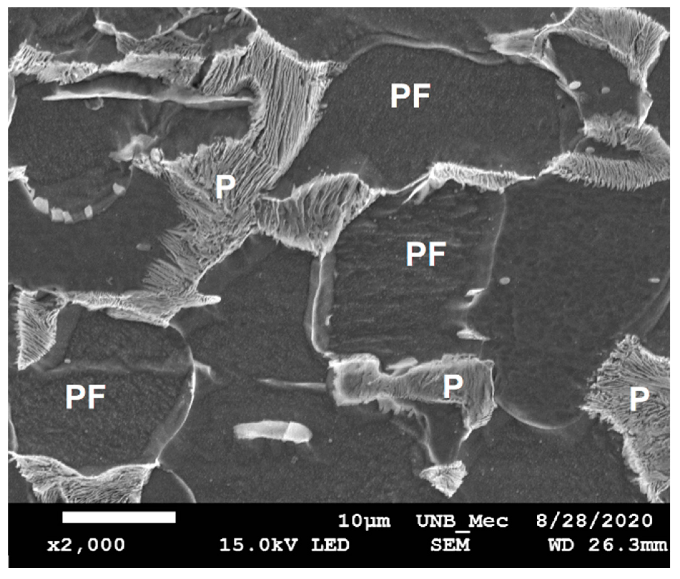 Sensors 21 05459 g009