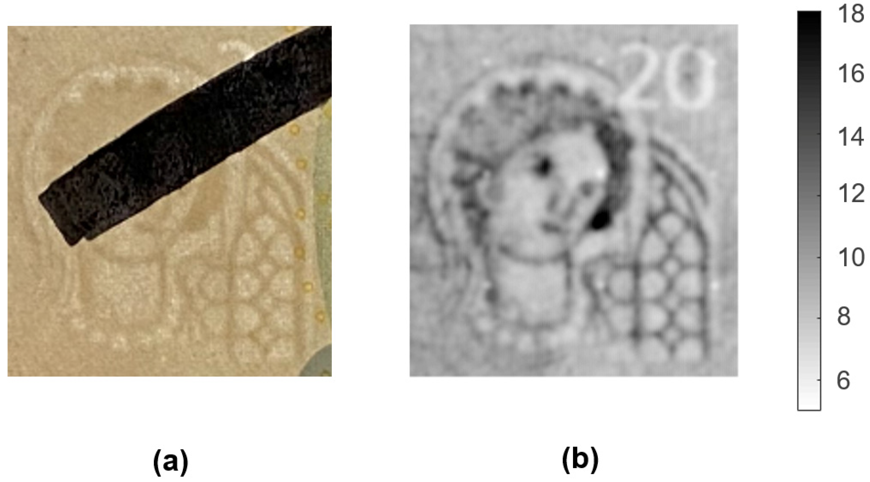 Sensors 21 05463 g007