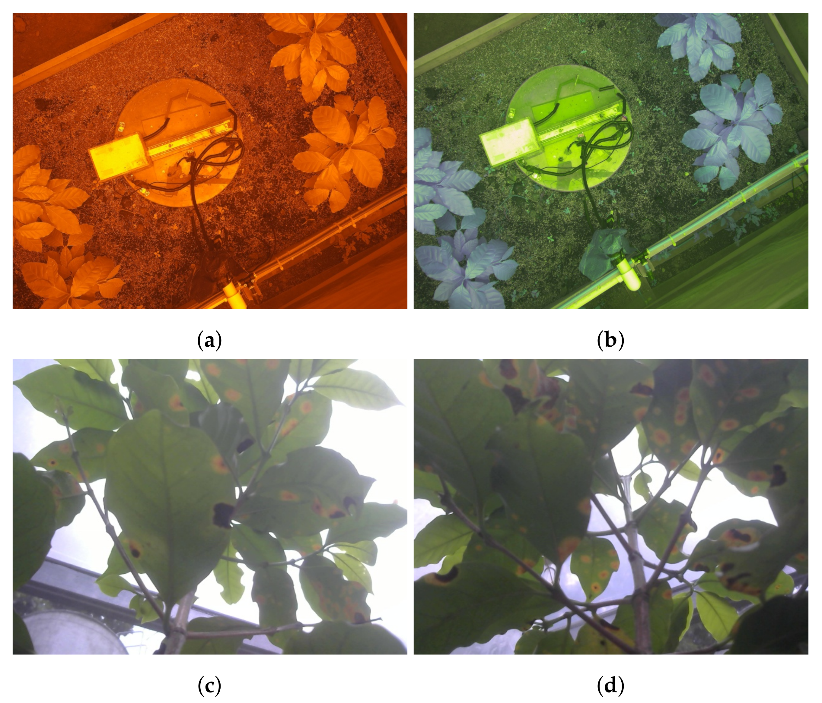 Sensors 21 05474 g005