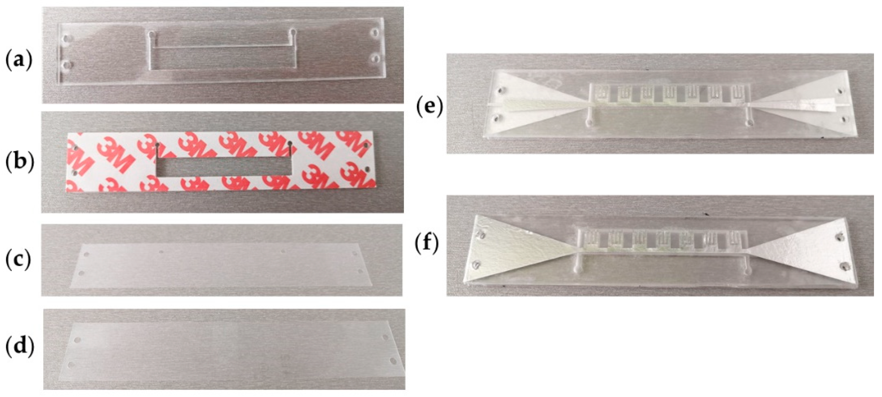 Sensors 21 05477 g003