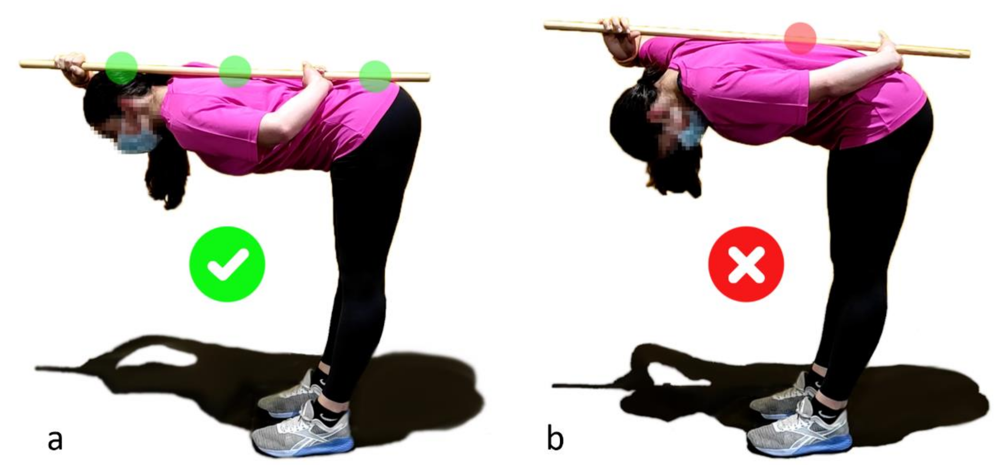 Sensors 21 05487 g001