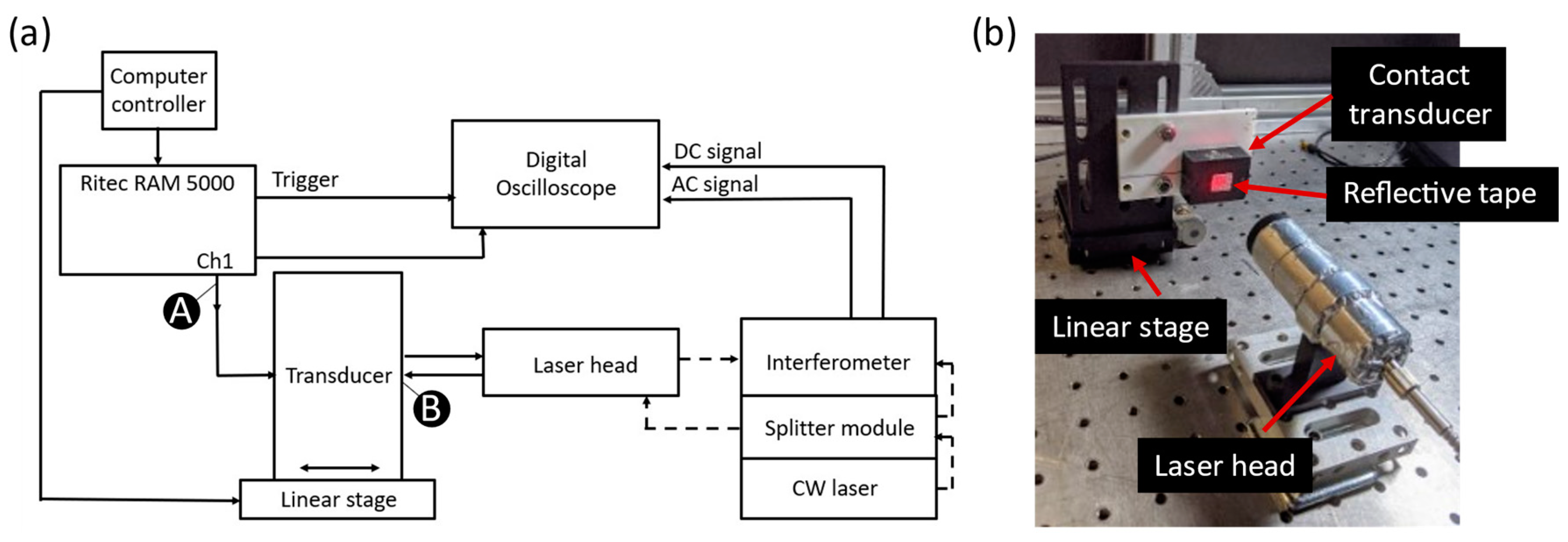 Sensors 21 05495 g001