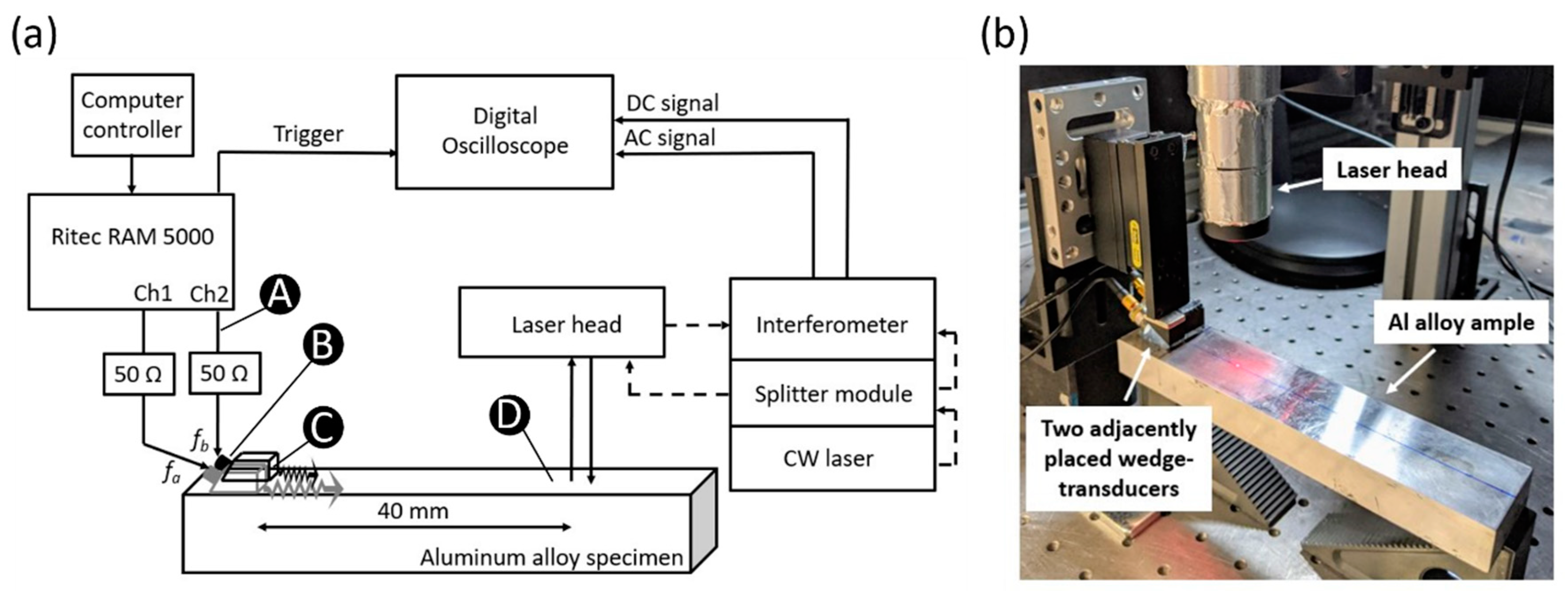 Sensors 21 05495 g003