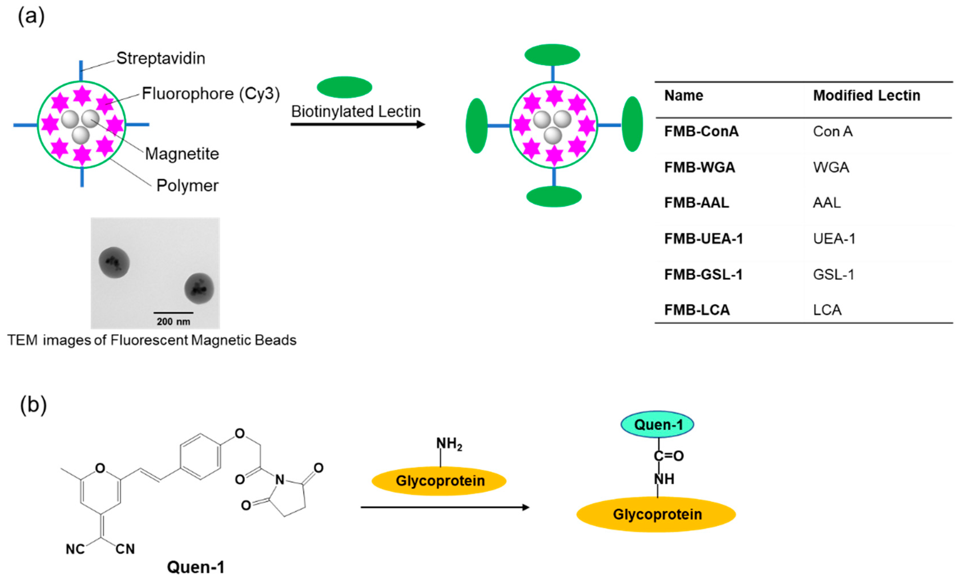 Sensors 21 05512 g001