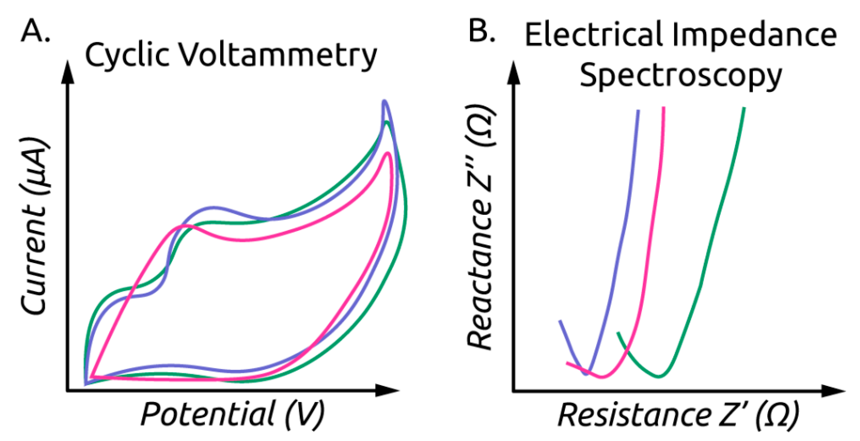 Sensors 21 05519 g004