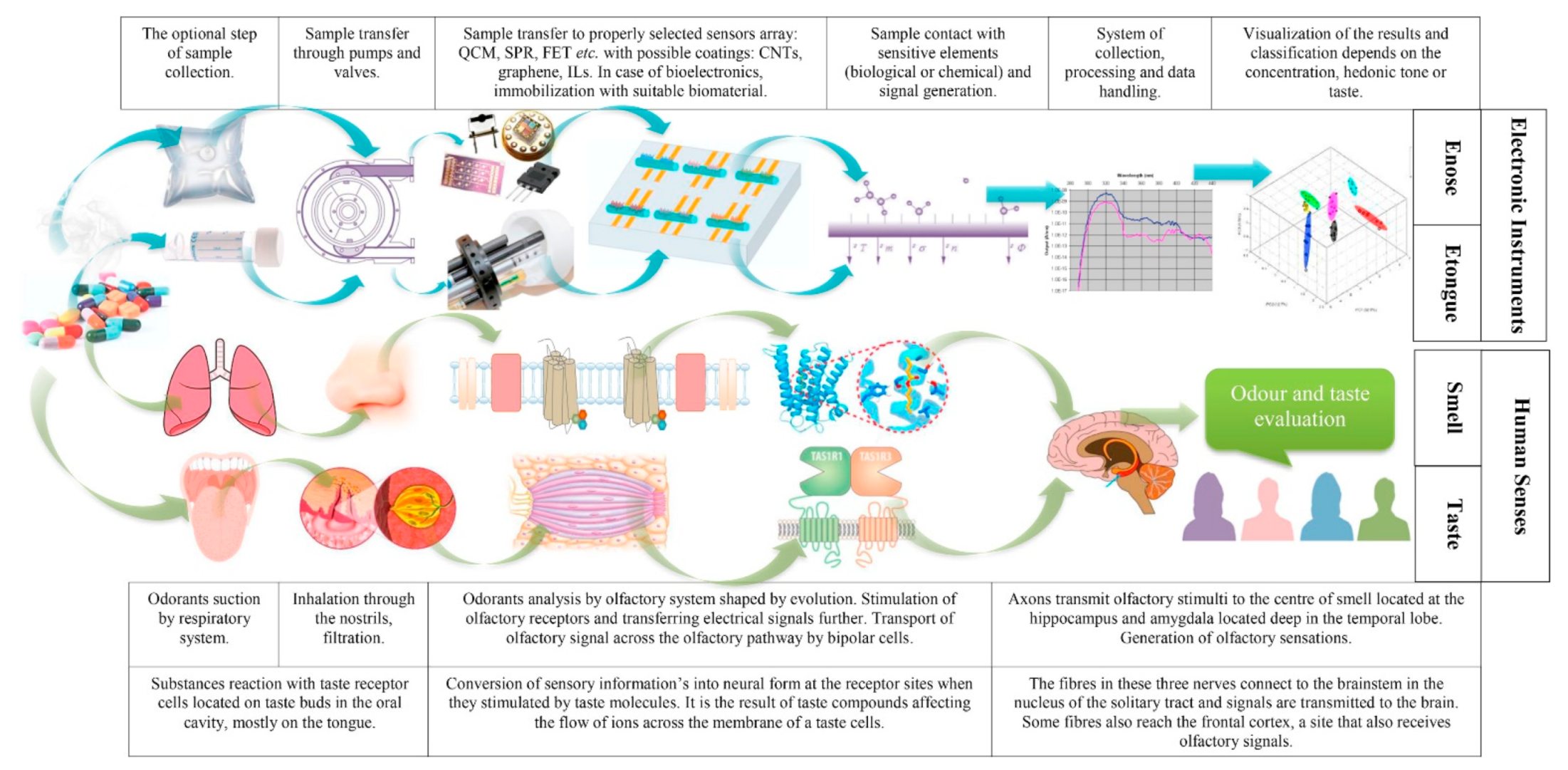 Sensors 21 05519 g006