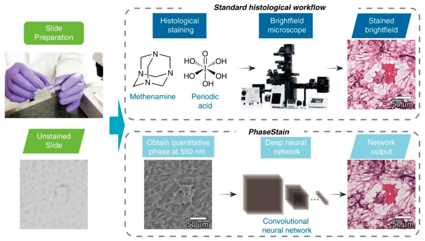 Sensors 21 05519 g010