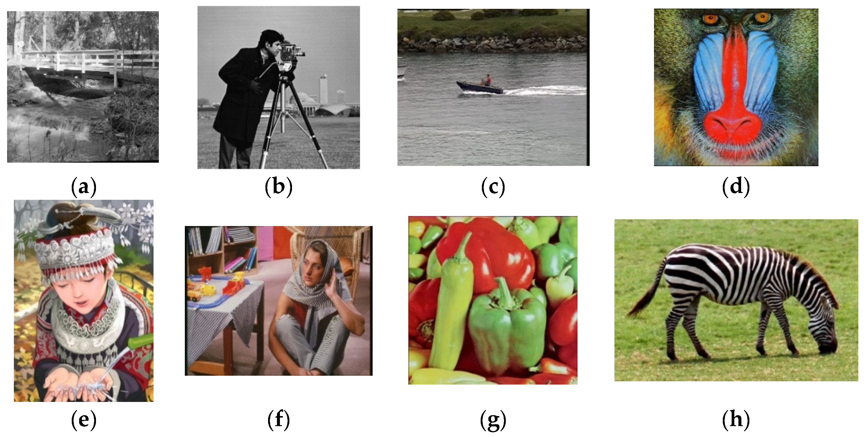 Sensors 21 05533 g004