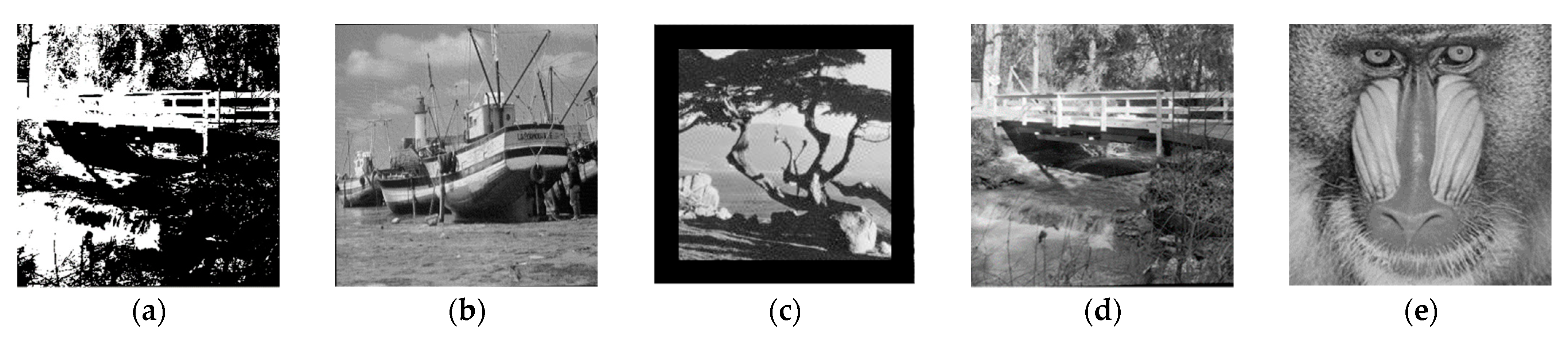 Sensors 21 05540 g011