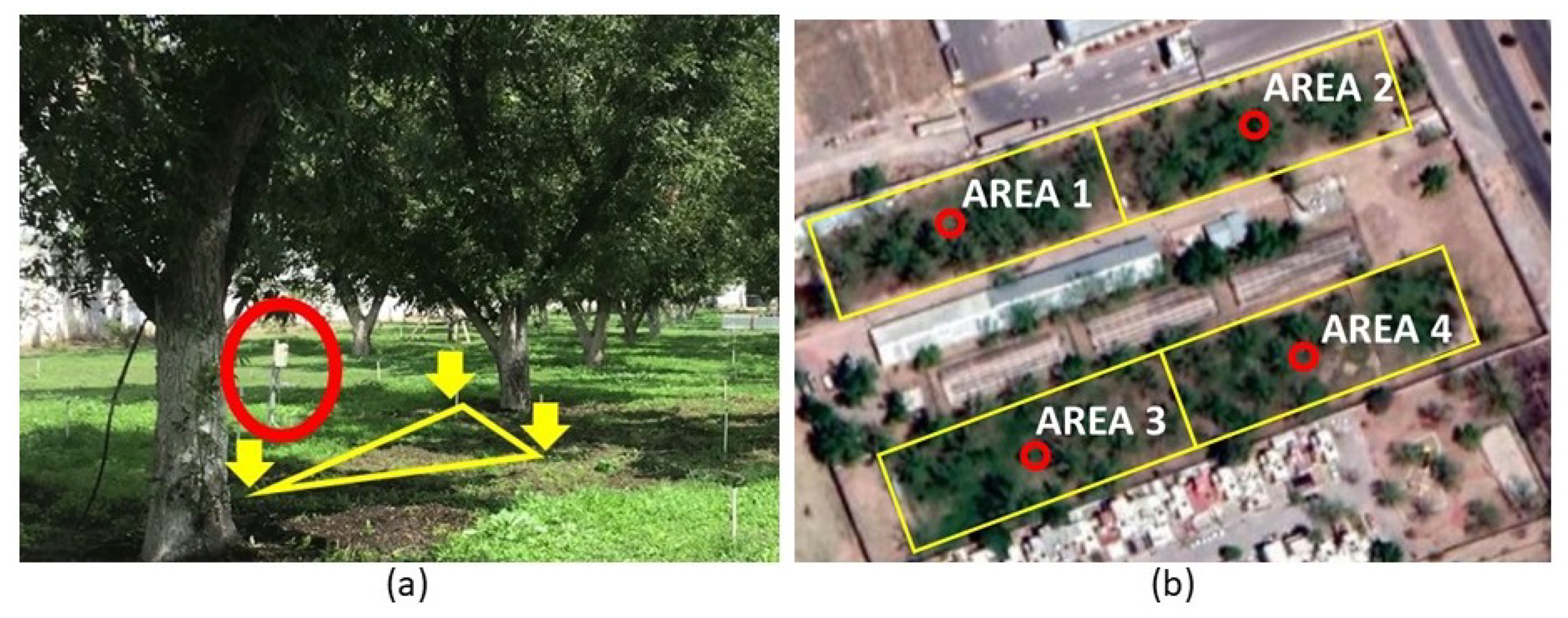 Sensors 21 05541 g001