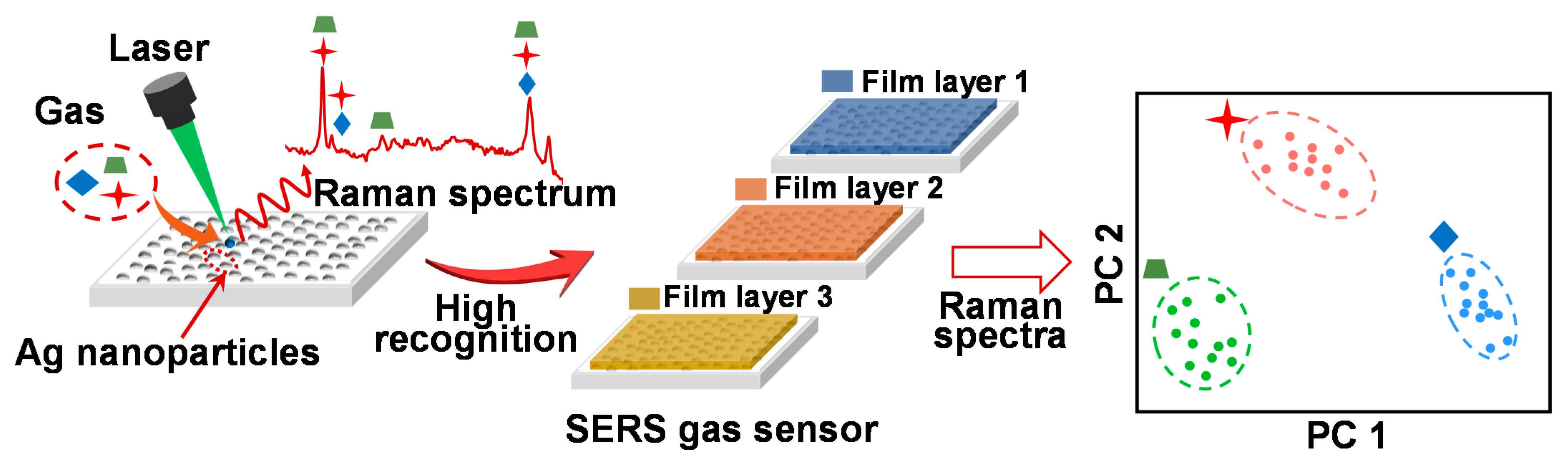 Sensors 21 05546 g001