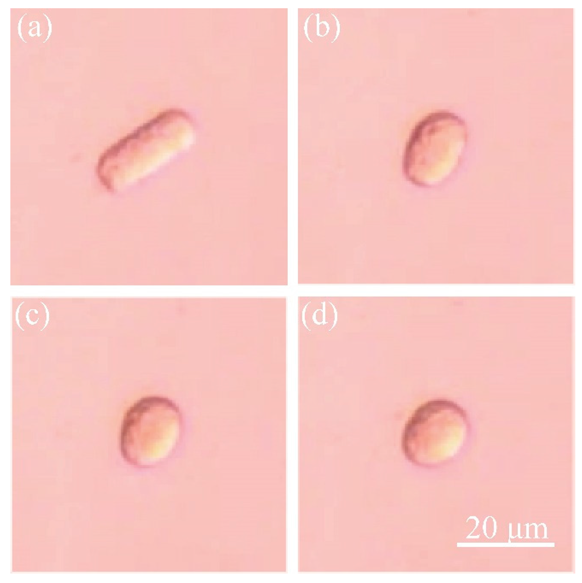 Sensors 21 05561 g001